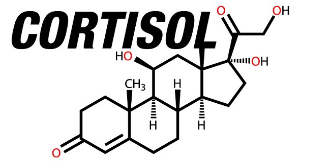 cortisol-and-working-out