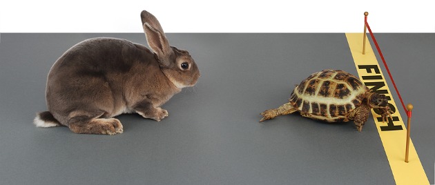 tortoise-vs-hare