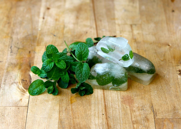 freeze-fresh-herbs-600