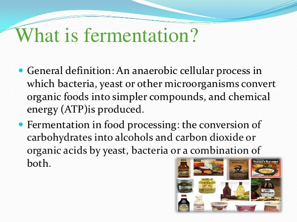 fermentation-600