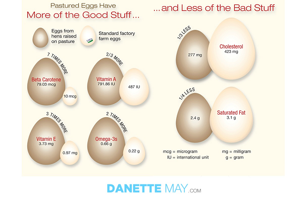 EGGS-PasturedVSNotdm600