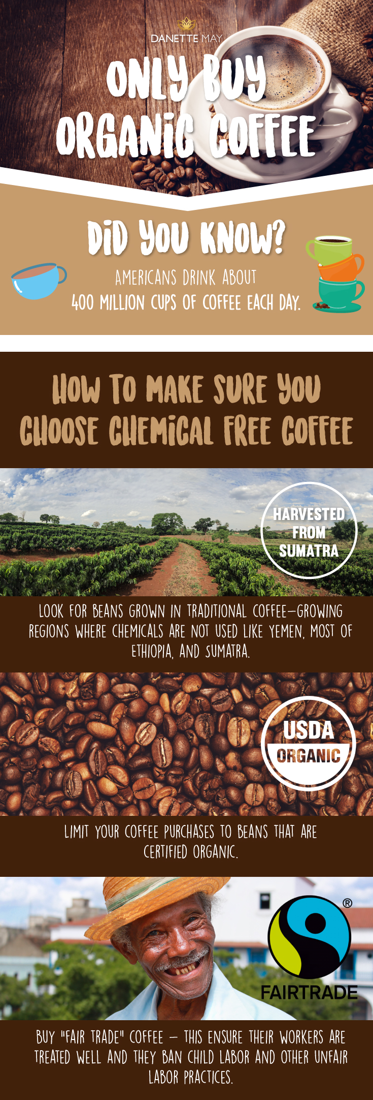 organic coffee infographic