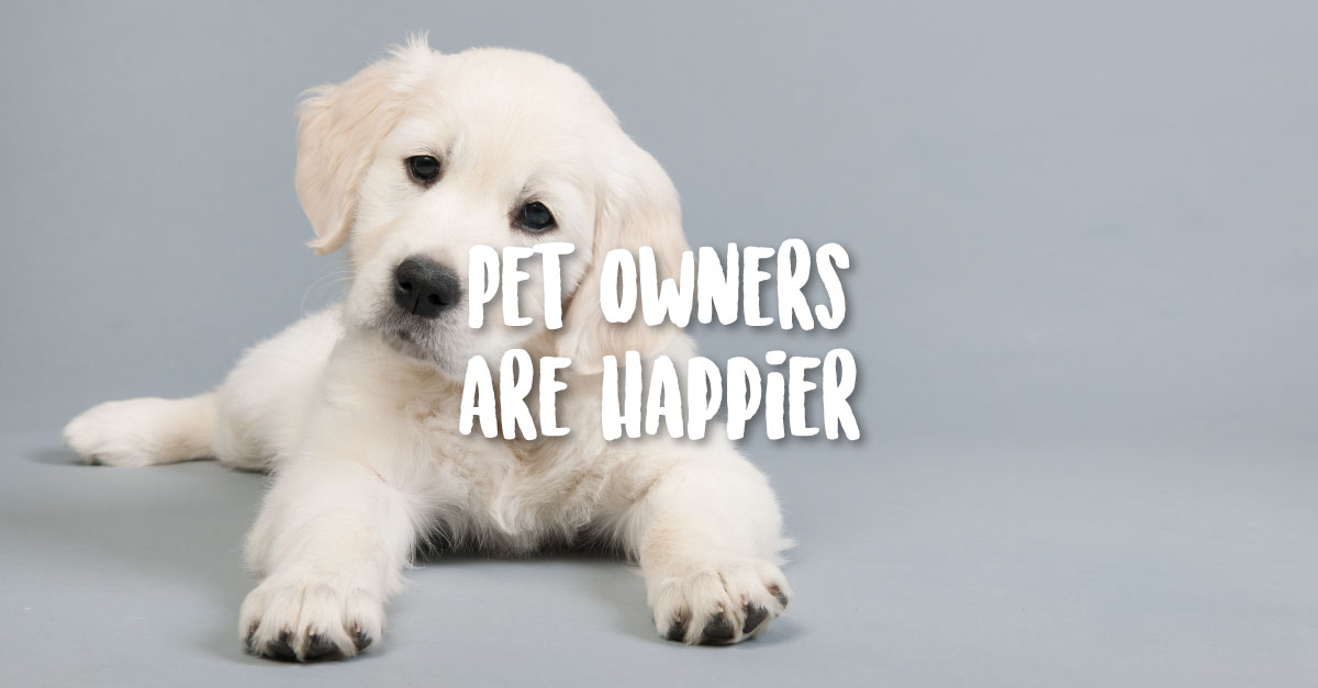 4 Reasons Pet Owners are Healthier May