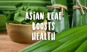 Pandan leaf on table health benefits