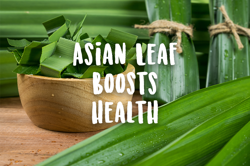 Asian Leaf Relieves Pain & Anxiety, Controls Diabetes & Blood Pressure