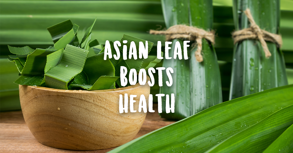 Asian Leaf Relieves Pain & Anxiety, Controls Diabetes & Blood Pressure