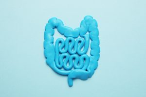 blue representation of intestines for good gut health