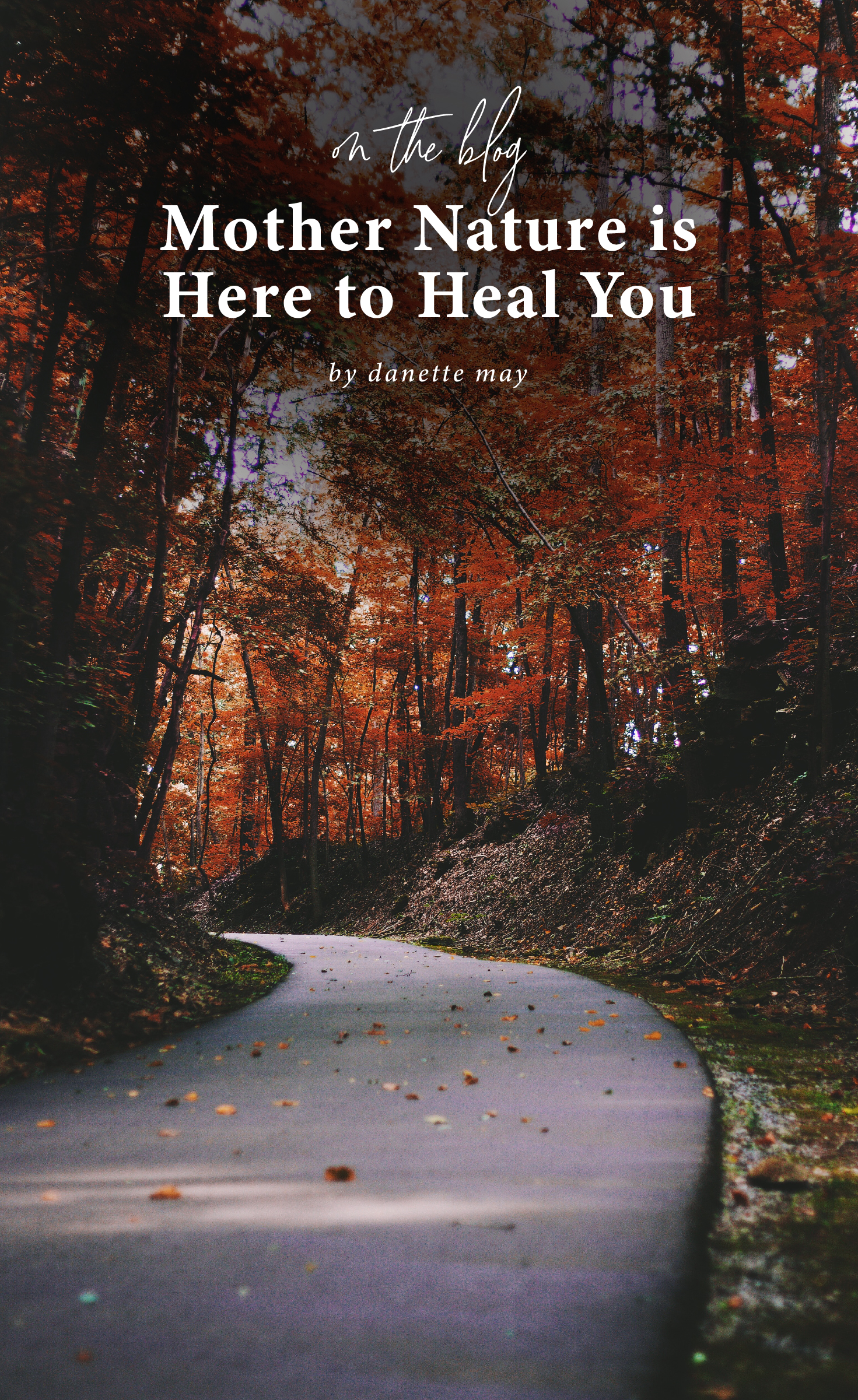 How mother nature heals you physically and mentally