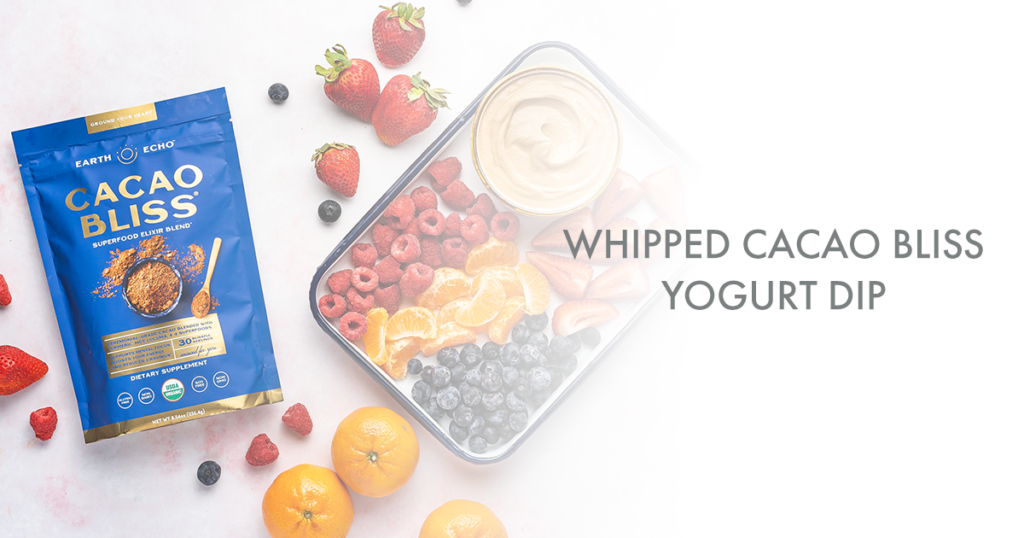 Healthy Whipped Cacao Bliss Yogurt Dip